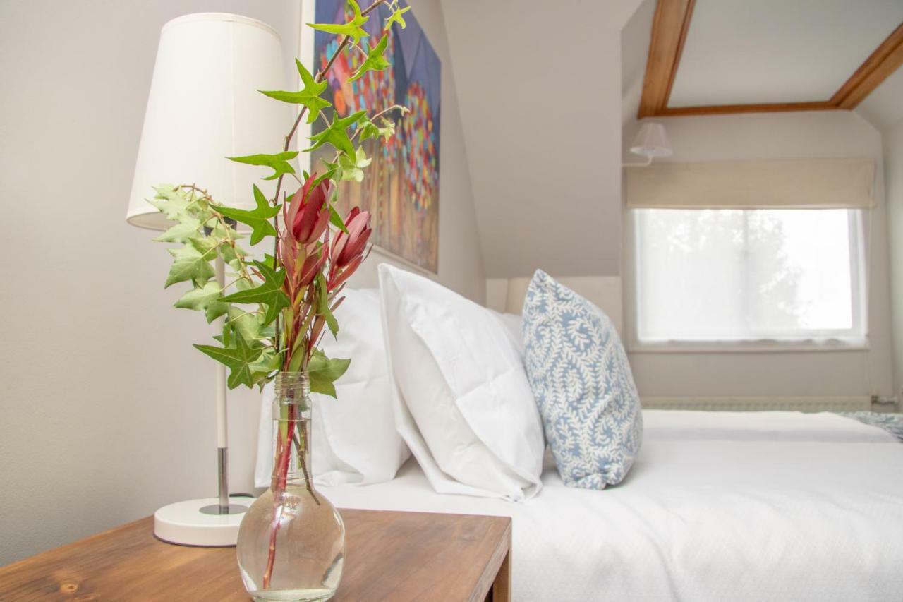 Hotel Casa Marron 比亚里卡 外观 照片